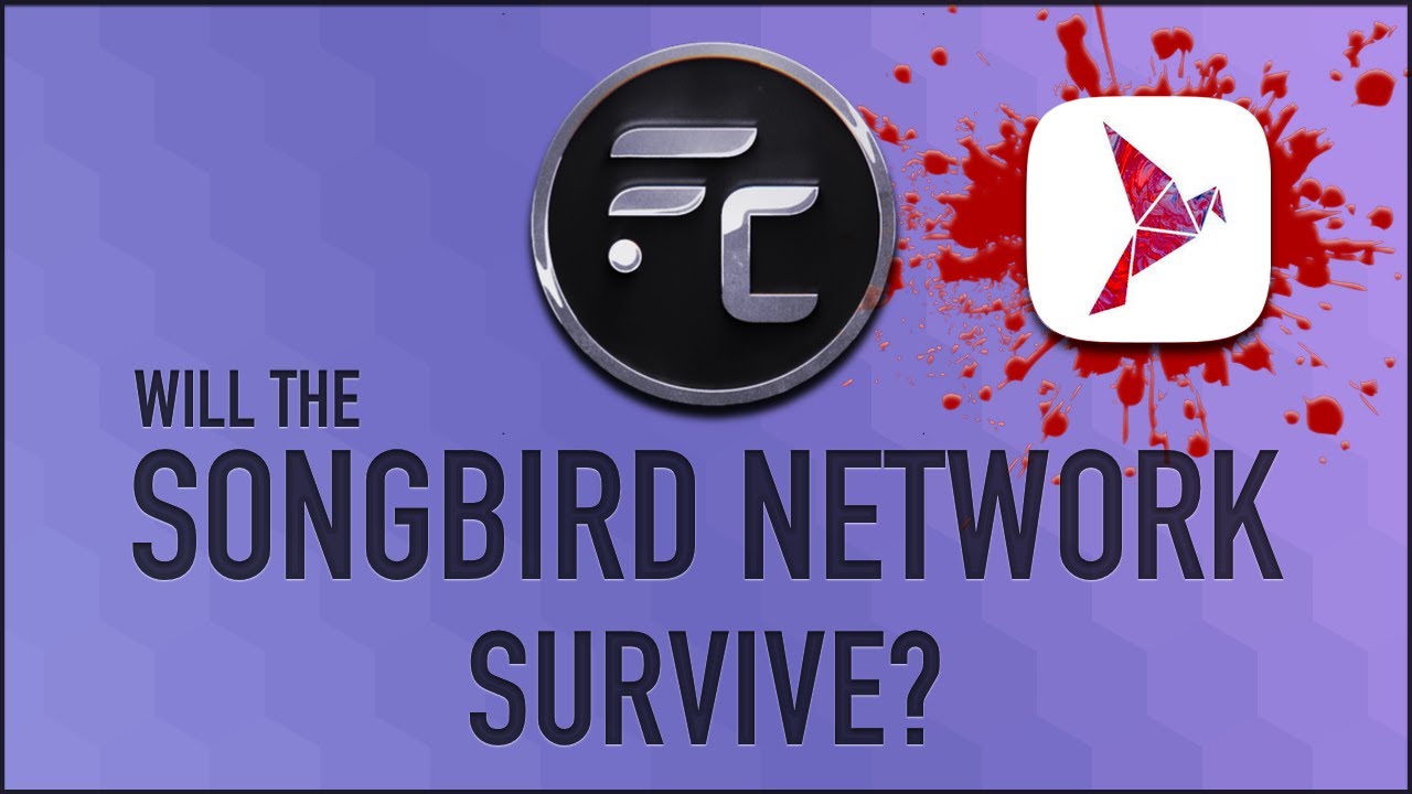🤔 Will the Songbird Network Survive?
