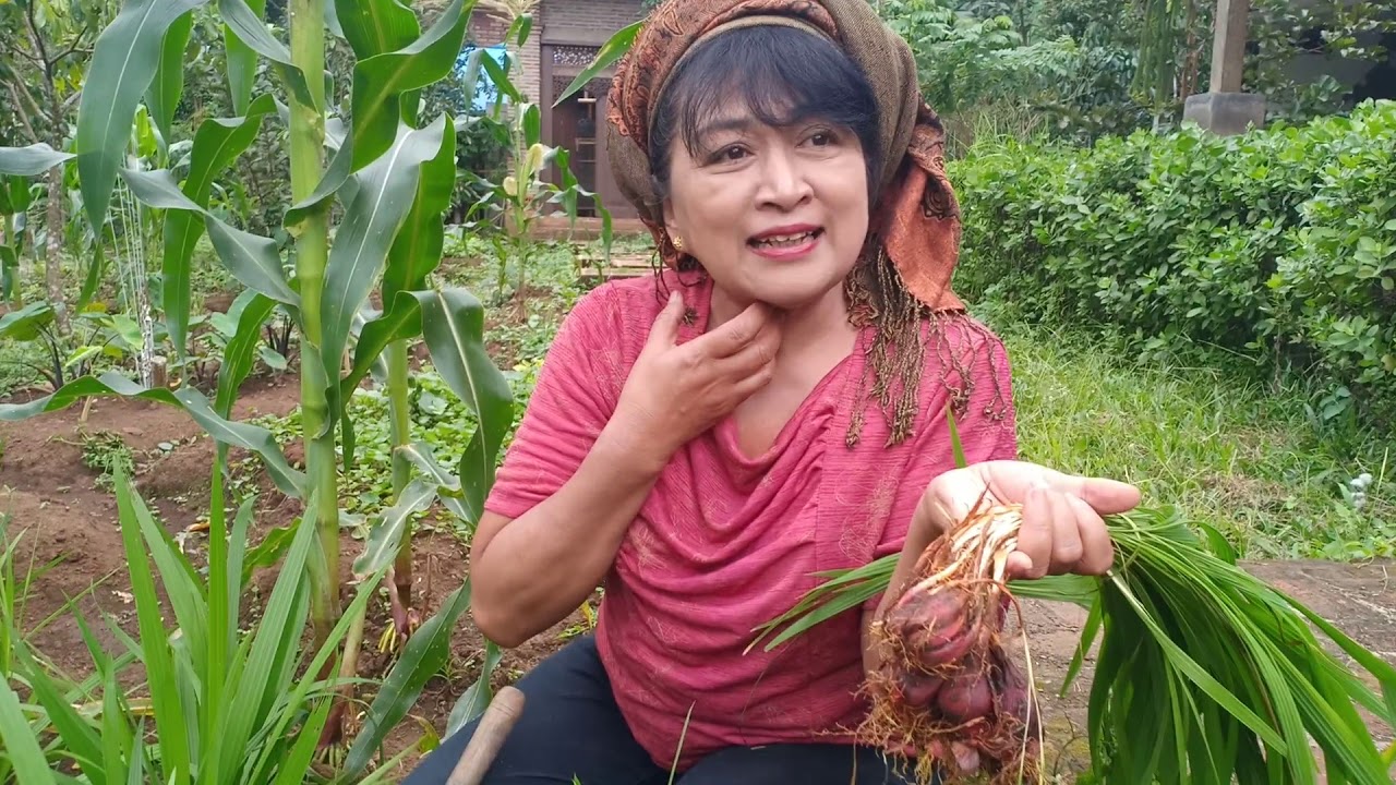 Khasiat bawang dayaknya emak2 rempong 