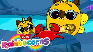 Rainbocorns Baby Animals & Spring Adventures | Cute Unicorn Cartoons for Girls