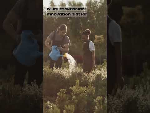 𝗪𝗮𝘁𝗰𝗵 𝗧𝗵𝗶𝘀 𝗩𝗶𝗱𝗲𝗼 𝗢𝗻 𝗠𝘂𝗹𝘁𝗶𝗦𝘁𝗮𝗸𝗲𝗵𝗼𝗹𝗱𝗲𝗿𝘀 𝗶𝗻 𝗔𝗴𝗿𝗶𝗰𝘂𝗹𝘁𝘂𝗿𝗲 Youtubeshorts Shortvideo Short Viralvideo