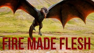 Multifandom || Dragons are fire made flesh