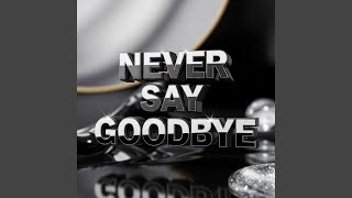 Never Say Goodbye