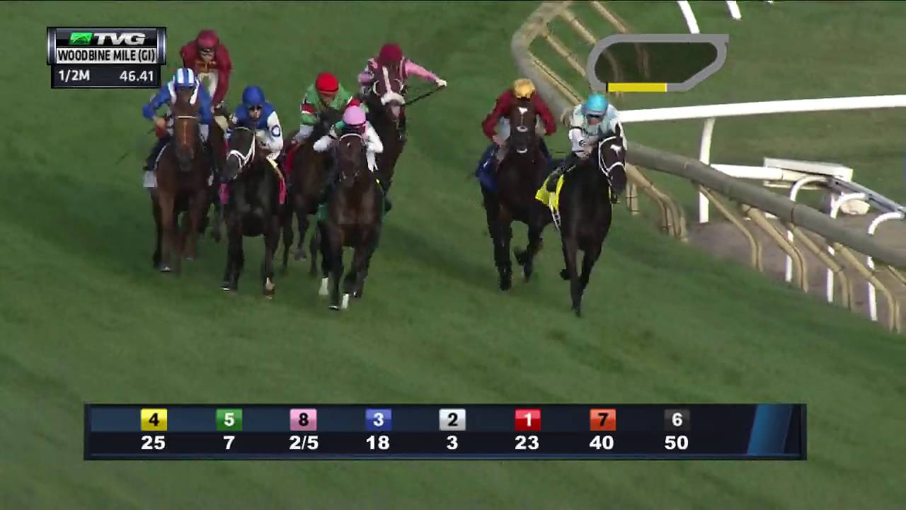 RACE REPLAY: 2016 Woodbine Mile Featuring Tepin