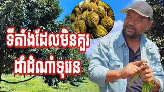 ទីតាំងដែលមិនគួរដាំដំណាំទុរេន | លោកគ្រូ ប៊ុន នាង (ពេទ្រទូច)