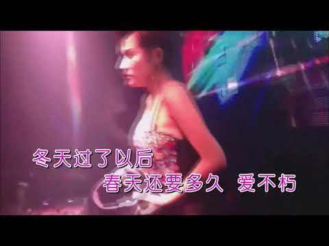 黑龙 《 情歌2019 Remix》DJ大禹 KTV 歌词版