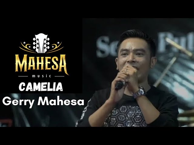 Mahesa Camelia - Gerry Mahesa class=