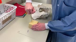 Jamshidi Bone Marrow Demonstration