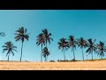 Relaxing Music with Calm Nature, Fall Asleep Meditation Relaxing Music