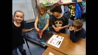 Young scientists dissect salmon!