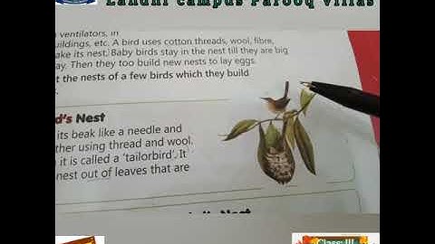 Class III subject sci