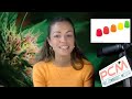 Maine Governor Collins Seals Records - Weed Talk News with Alaina Pinto The B Block