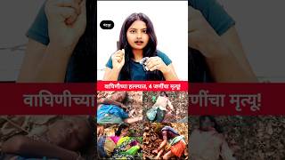 चंद्रपूर हादरलं ! वाघिणीच्या हल्ल्यात 4 महिलांचा मृत्यू #tigerattack #chandrapur #viralshort