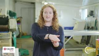 Flaggy Shore Oysters - Burren Food Fayre