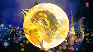SHIV TANDAV - PAGALWORLD.COM