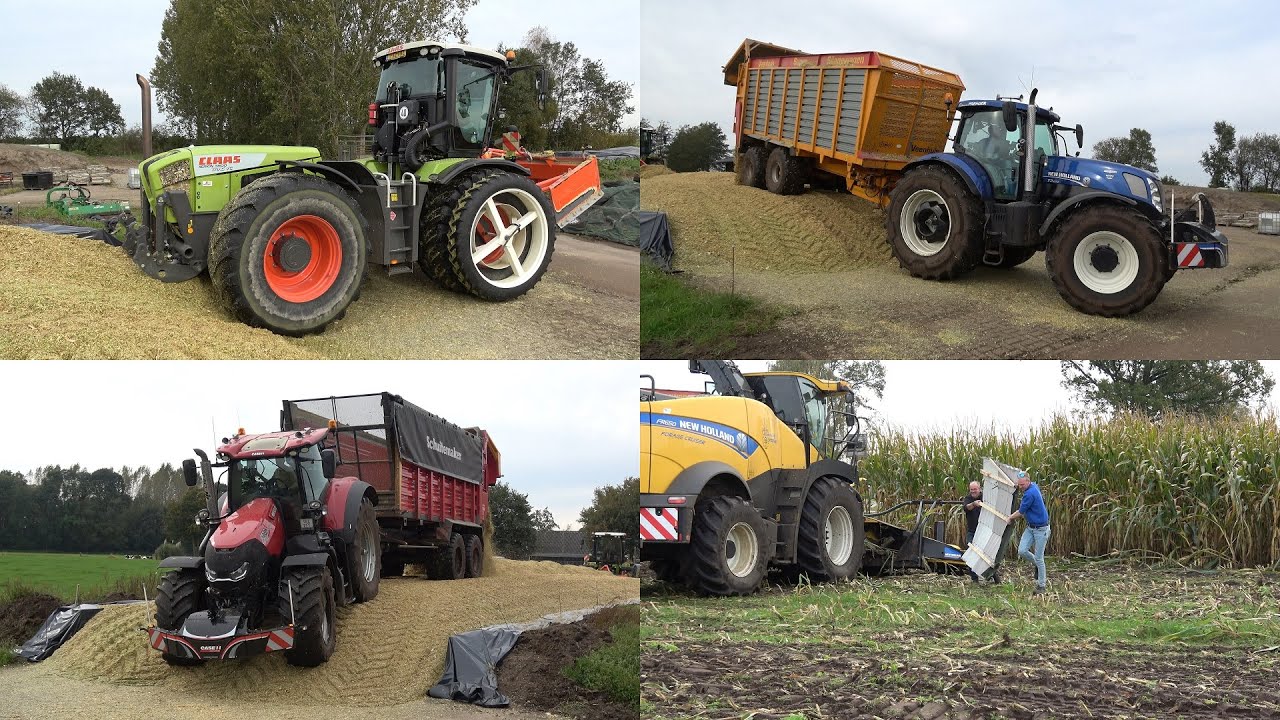 Mais hakselen en inkuilen door loonbedrijf Prenger met New Holland FR650 en Claas Xerion 3800 (2024)