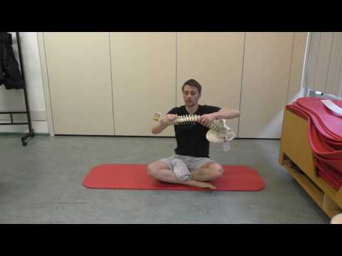 Review Zazen Scoliosis