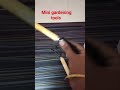 Video Image