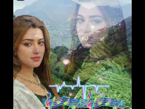 كم عشت للحب واوفيت ايوب طارش