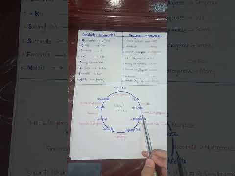 Kreb Cycle Easy