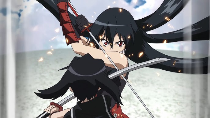 Impressões: Akame ga Kill #15 - Mate a Organização Religiosa - IntoxiAnime