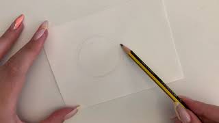 Planning large scale: Outline of fish