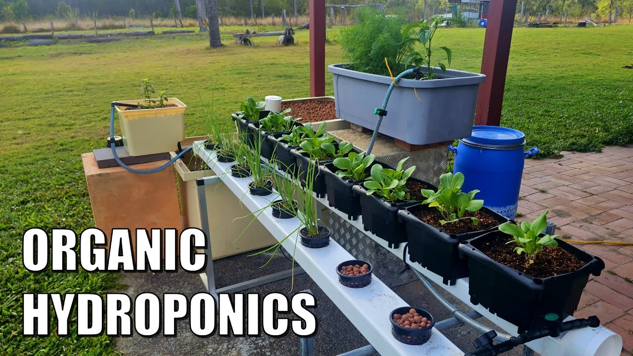 Высадка растений в систему органической гидропоники