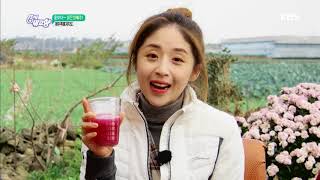 6시 내고향 - 붉은 빛으로 식탁을 가득 채워주는 붉은양배추!.20171128