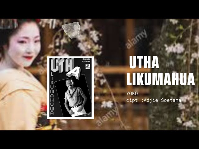 UTHA LIKUMAHUA : YOKO class=