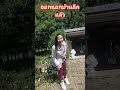 #เมียฝรั่งชนบท #sohrts #ชีวิตต่างแดน #ความสุขแบบบ้านๆ