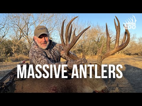 The Buck of a Lifetime: Joe Miles and the Asio Gear Story