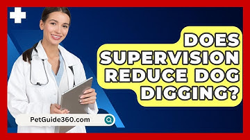 Does Supervision Reduce Dog Digging? - PetGuide360.com