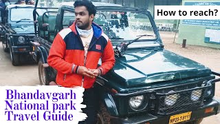 Bandhavgarh National Park Guide | How to reach, Budget Tour, Hotels, Resorts, Safari Booking