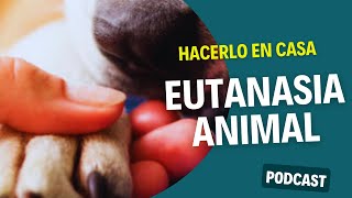 La Eutanasia Animal En Casa