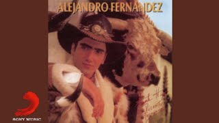 Alejandro Fernández - Otra Vida Cover Audio