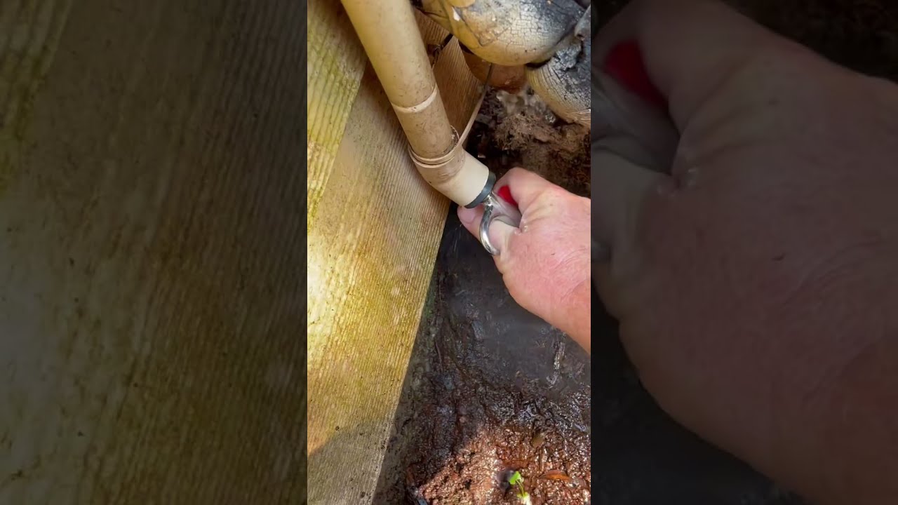Clogged AC Drain