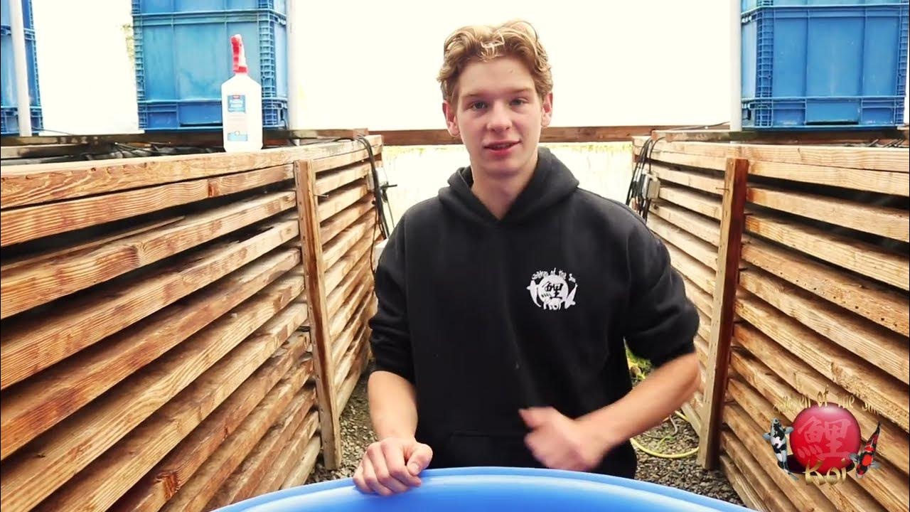 Cotskoi Auction New Tosai Harvest *Special Auction* YouTube