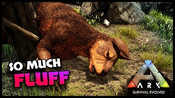 Taming Spree! // ARK SURVIVAL EVOLVED // Singleplayer // EP 9