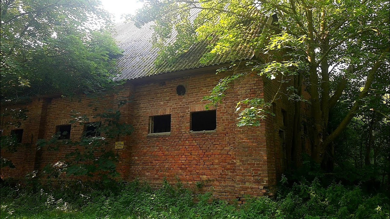 Maler für verlassenen Kuhstall gesucht - Lost Places in Sundhagen