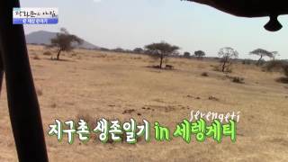 악어에게 물린 임팔라! 탈출을 성공하다 [광화문의 아침] 352회 20161107