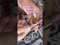 Best medora lipstick shades 💄#lipstick#trending #youtubeshorts