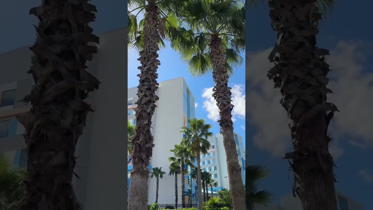 Would You Stay at Universal Endless Summer Resort SURFSIDE? 