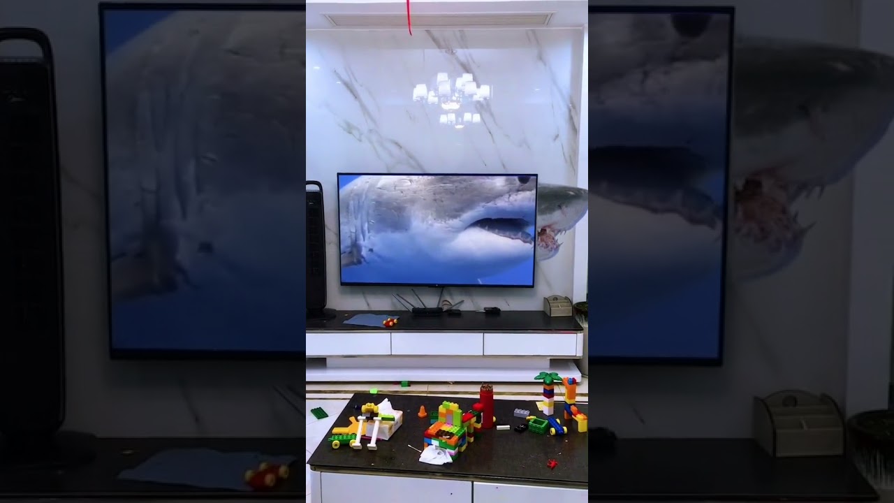 Funny Shark - Creative Inventions Shark Video