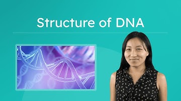 Structure of DNA - What Is DNA Made Of and How Is It Shaped?