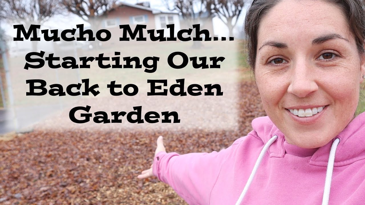 Mucho Mulch...Starting Our Back to Eden Garden YouTube