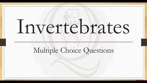 Invertebrate Zoology Part 1 | Multiple Choice Questions | Solved