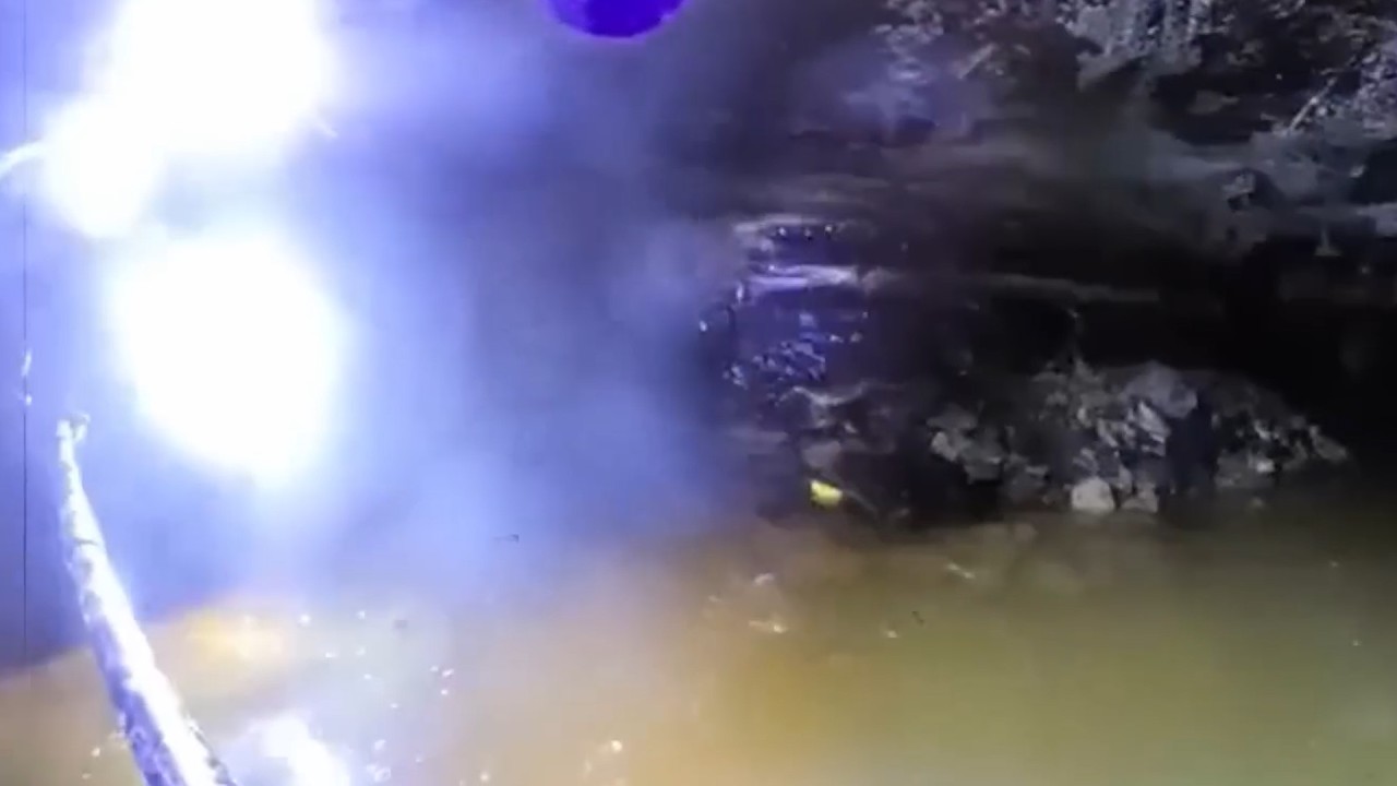 5 Verstörende Videos aus den Tiefen des Waldes