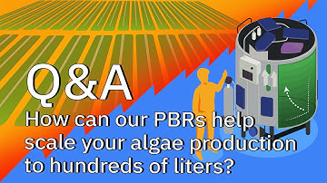 How Can Our Photobioreactors Help Scale Your Algae Production to Hundreds of Litres? - Q&A w/ expert