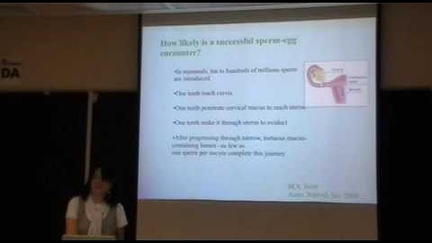 Amazing Simulations I - Fauci