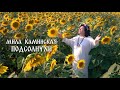 Мила Каминская - Подсолнухи (Official Video, 2023)