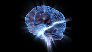 Как поменять мозг Нейропластичность Мозга  Фильм 2
